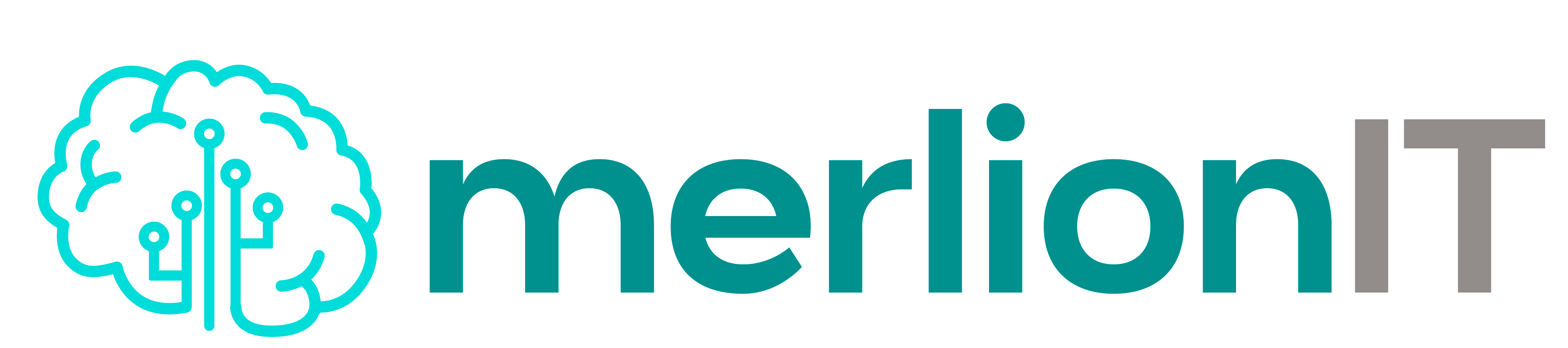 merlionIT